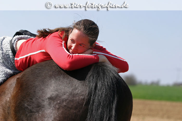 Bayerisches Warmblut beim Ausritt