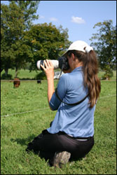 beim Fotografieren
