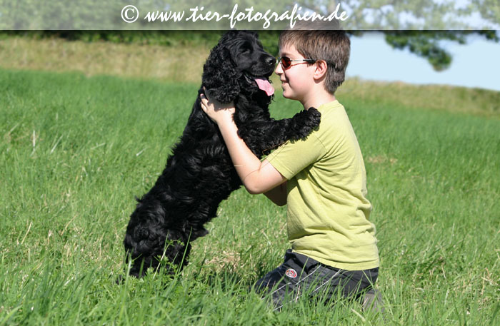 schwarzer Cocker Spaniel mit Kind
