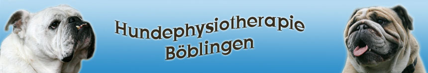 Hundephysiotherapie Bblingen