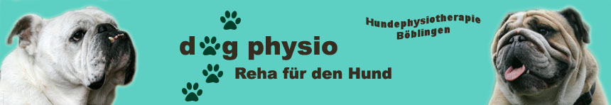 Hundephysiotherapie Bblingen