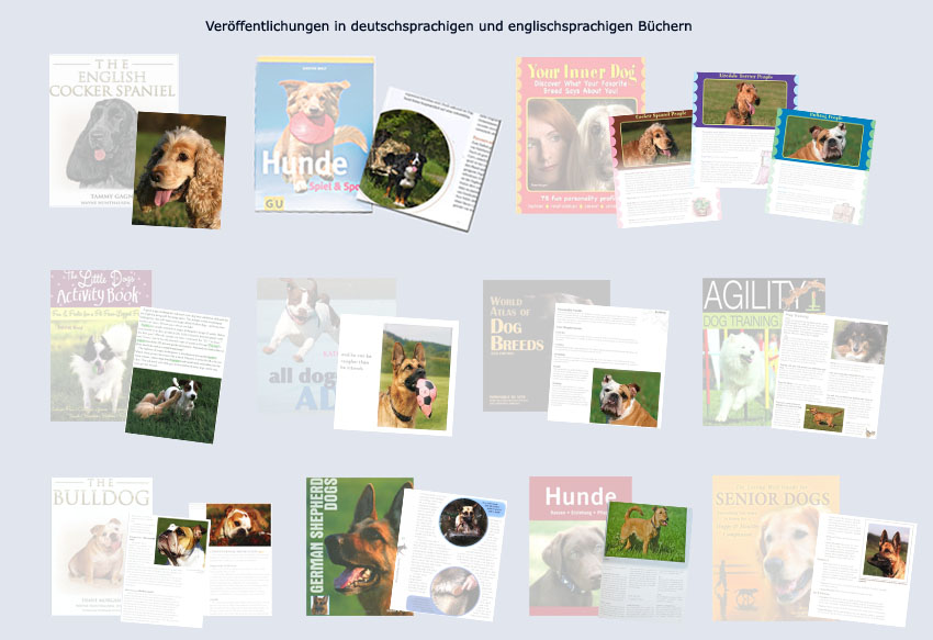 Bücher